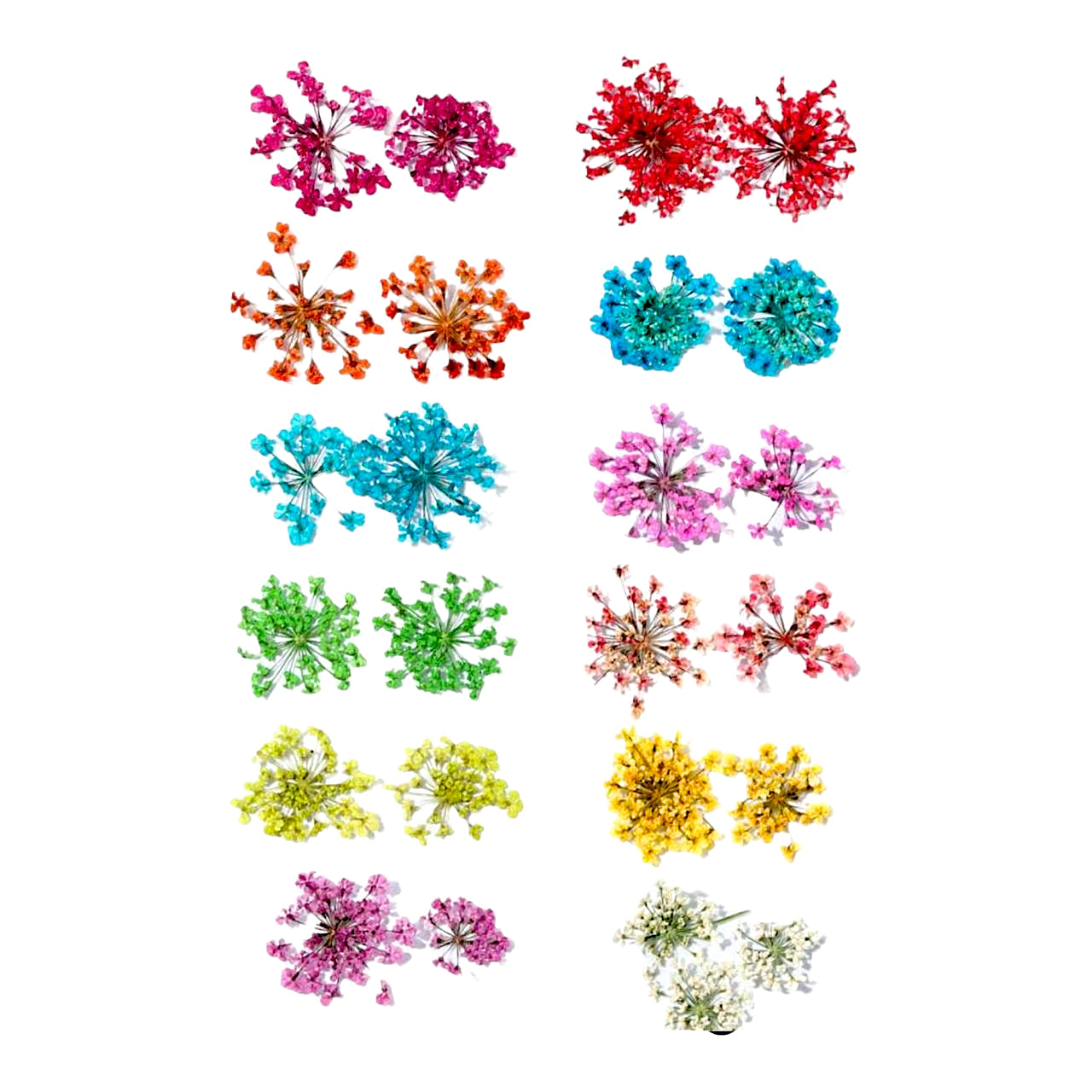 Decorazioni Floreali per Unghie Gypsophila Bloom F03
